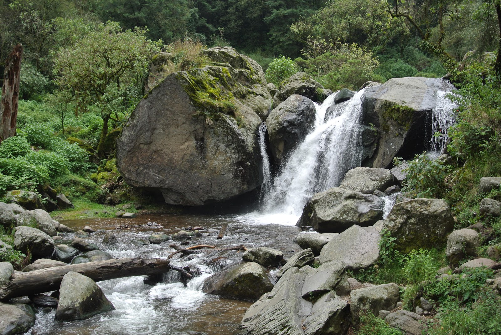 Los cuatro dinamos y las fábricas textiles del río