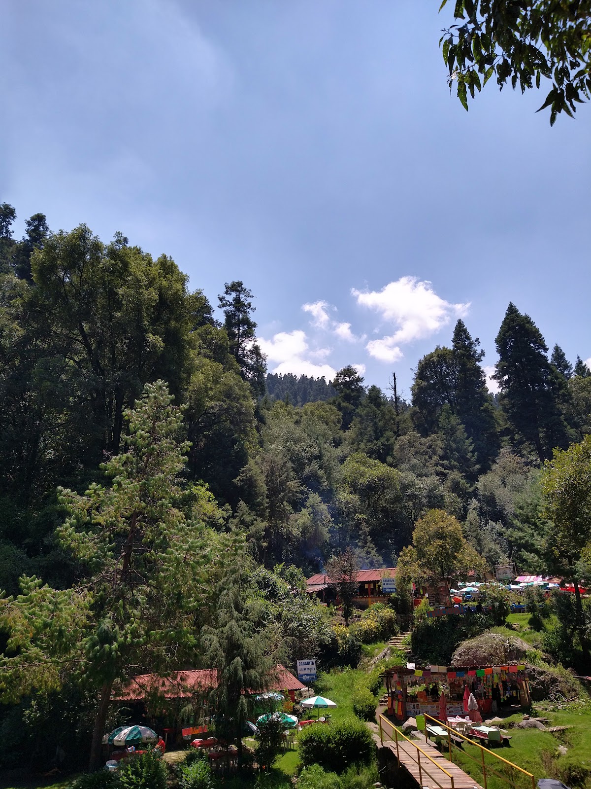 El Río Magdalena: el único río abierto de la CDMX