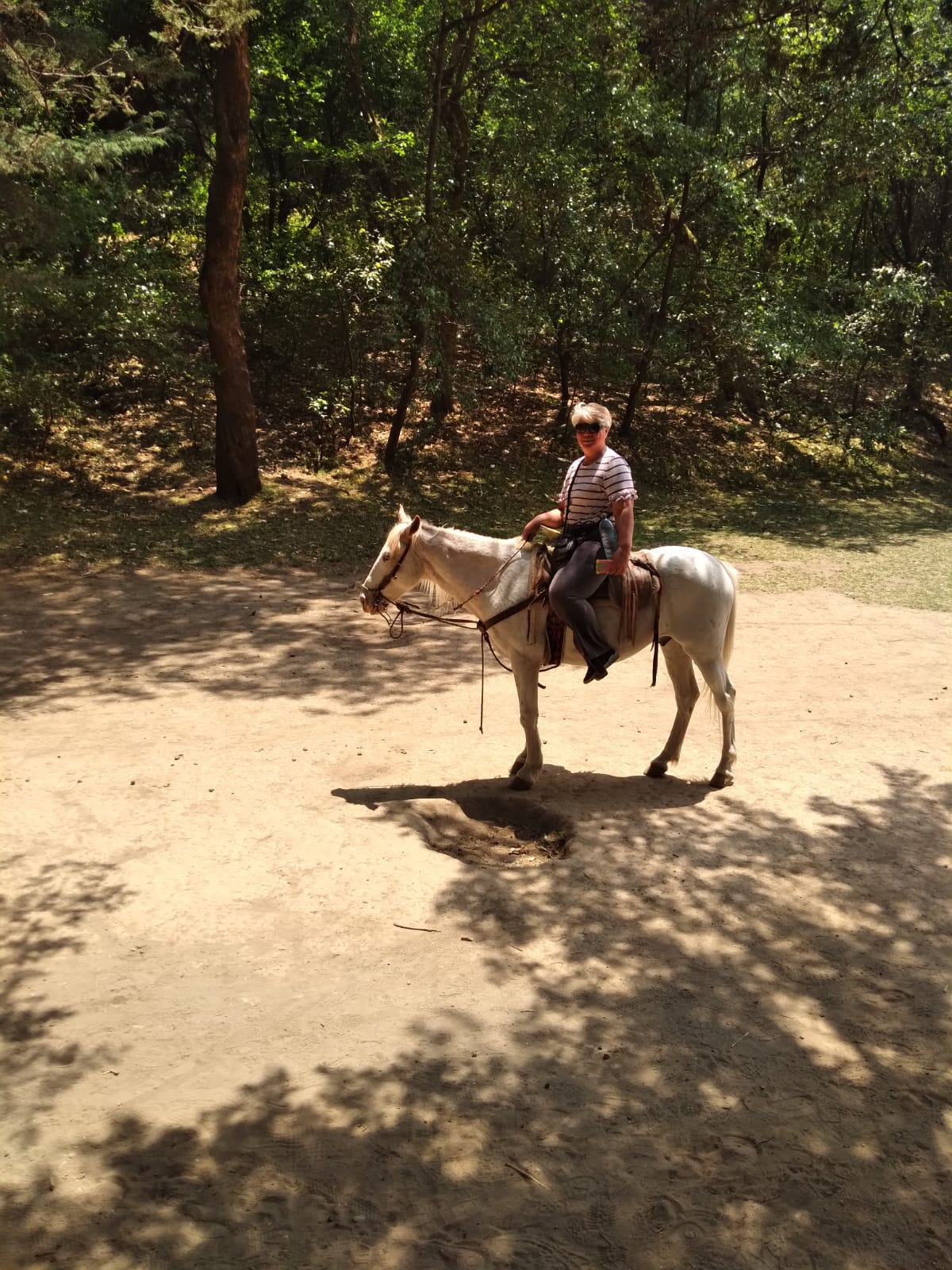Cuatro secciones, mil senderos: cómo recorrer el parque